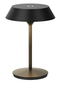 Akkuleuchte Mandulis