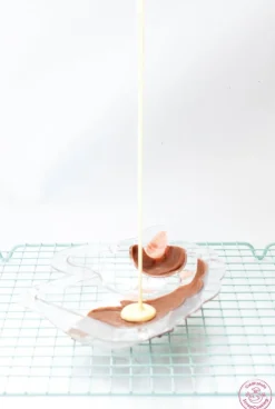 Auskühlgitter Choco