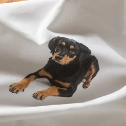 Bettwäschegarnitur Bello