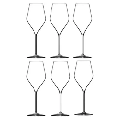 Champagnerglas-Set Absolus