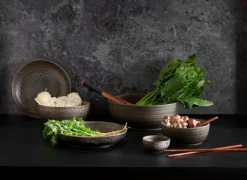 Flacher Teller Poké