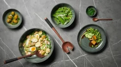 Flacher Teller Poké