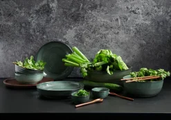 Flacher Teller Poké