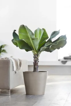 Gartentopf Amsterdam