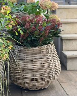 Gartentopf Drypot Tina