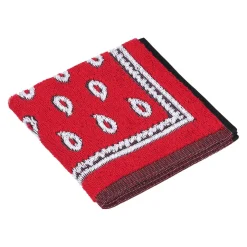 Seifenlappen Folklore