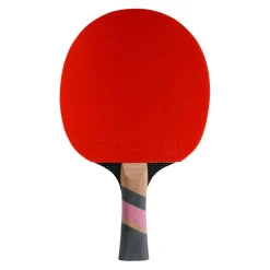 Tischtennis-Schläger Excell 3000