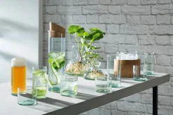 Trinkgläser-Set Canopy