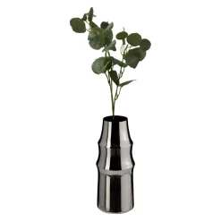 Vase Lucida